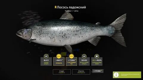Карта ладожский архипелаг рр4