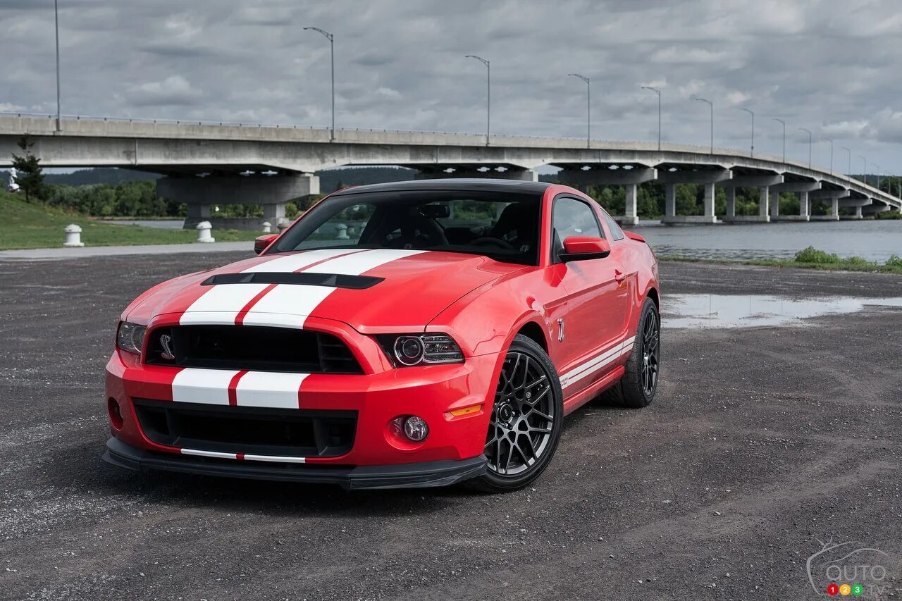 Mustang shelby gt 500. Форд Мустанг ГТ 500. Форд Мустанг Шелби гт500 2013. Форд Мустанг ЖТ 500. Ford Mustang gt 500 2013.