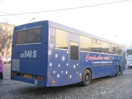 5 автобус гурьевск