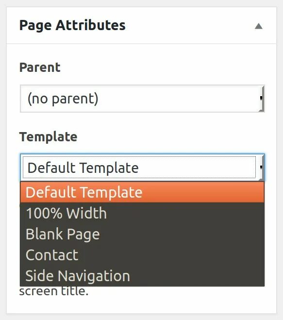 Post attributes Template. Page width