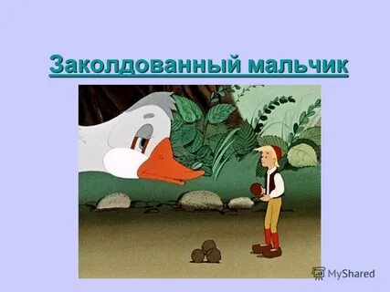 Заколдованный мальчик качества