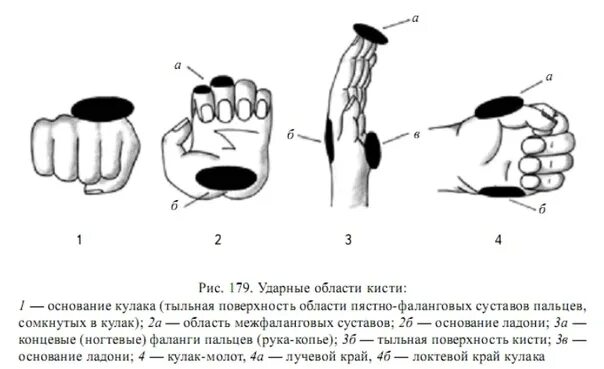 Части кулака. Ударные костяшки кулака. Тыльная поверхность кисти.