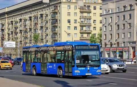 Автобус 0 11
