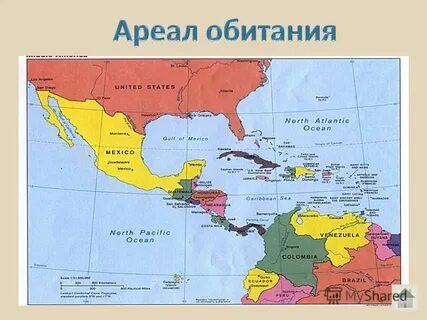 Карта центральной америки