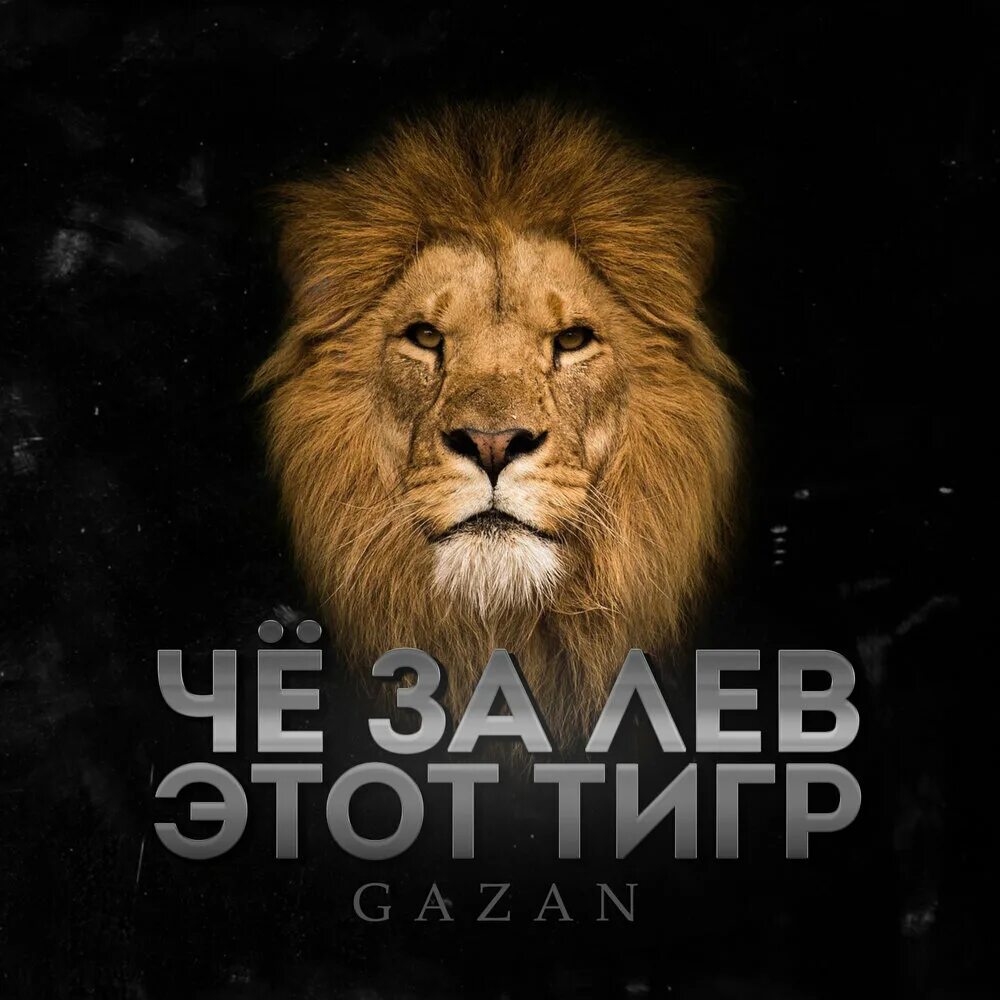 Что за лев этот тигр mp3. Че за Лев этот тигр. Газан че за Лев этот тигр. Gazan тигр.