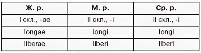 Латынь приложение