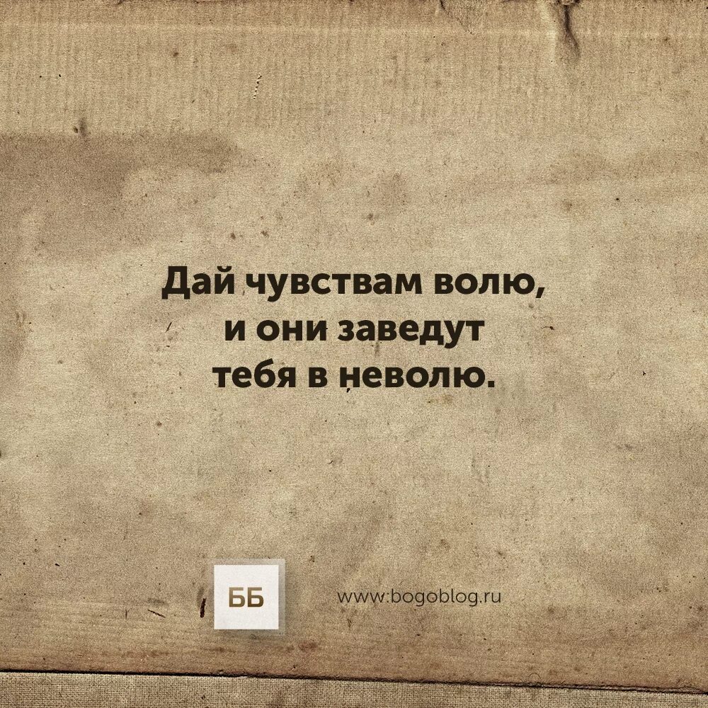 Бог с тобой где чувство воли. Мудрые христианские высказывания. Христианские цитаты. Цитаты из Библии. Мотивирующие христианские цитаты.