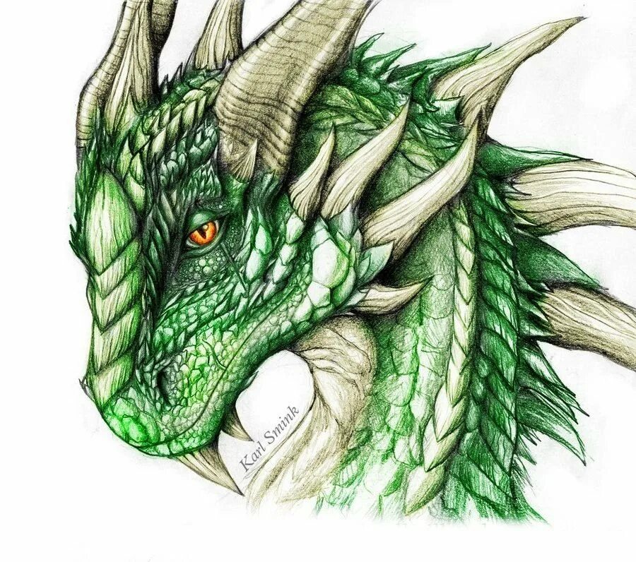 Рисунок зеленого деревянного дракона. Молодой зеленый дракон ДНД 5. DND молодой зеленый дракон. Валлийский зелёный дракон. Молодой зеленый дракон ДНД.