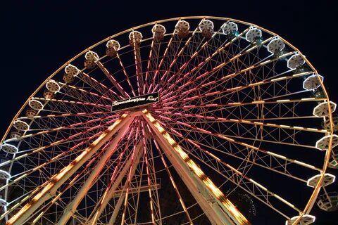 Ferris
