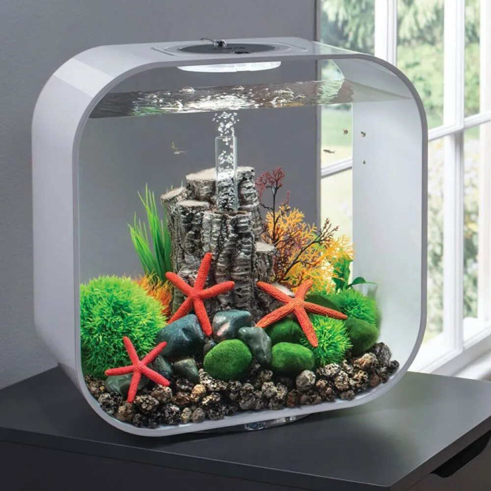 На столе стоит аквариум. Аквариум biorb life. аквариум biorb cube 30. biorb аквариум life 30 mcr white. аквариум biorb loop 30 mcr white.