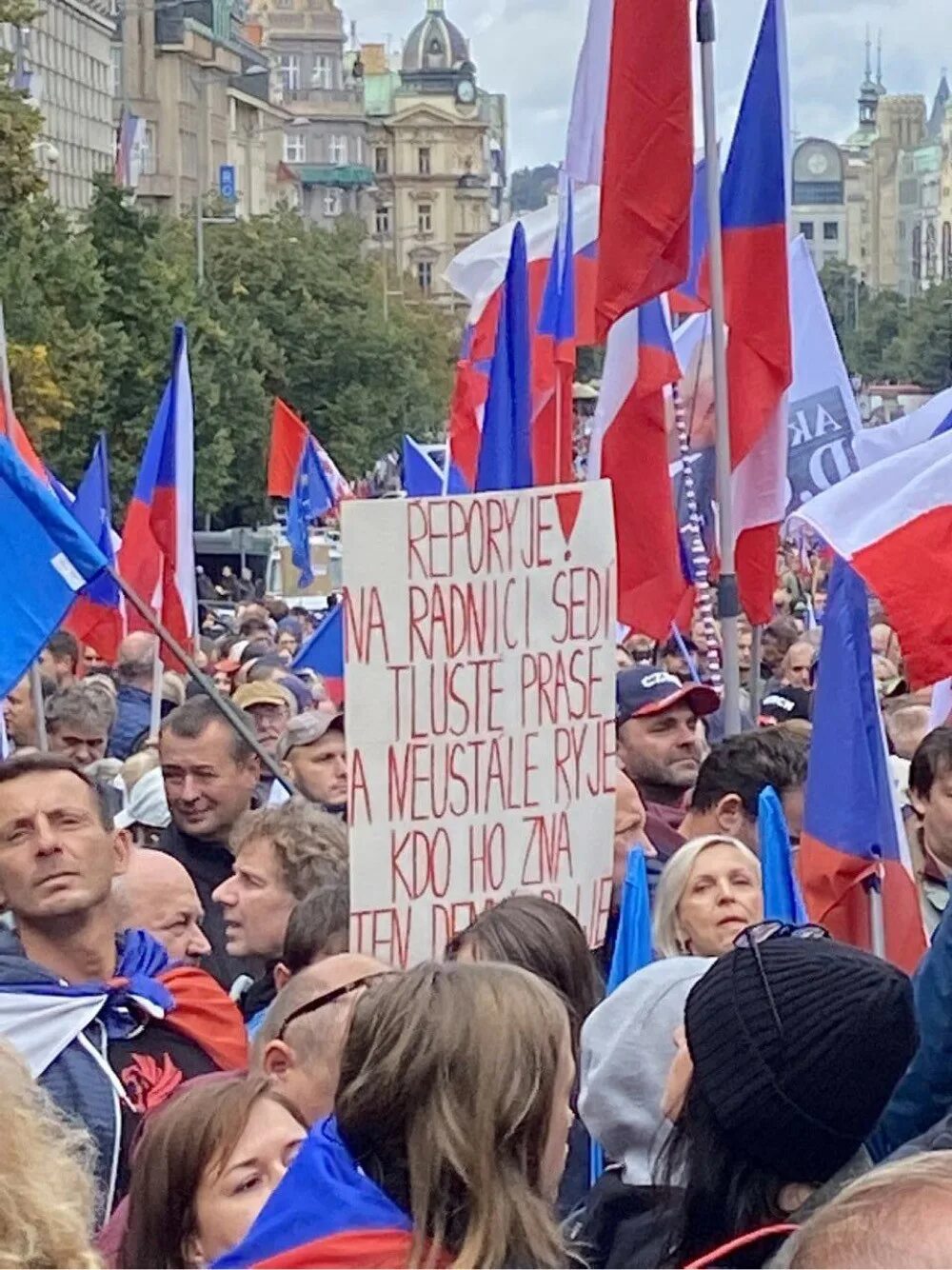 Митинг. Демонстрации в России. Митинг в Чехии. Жители Чехии. Против власти украины