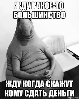 Такую жду какая есть ждем
