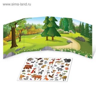 Кто живет меньше всех