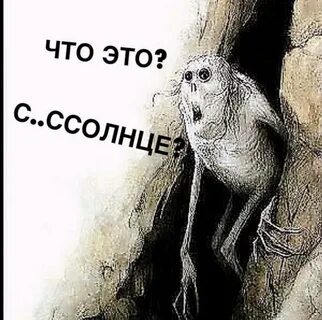 Я давно не видел свет