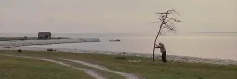 Когда спадет пелена чем закончится