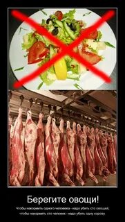 По русски надо