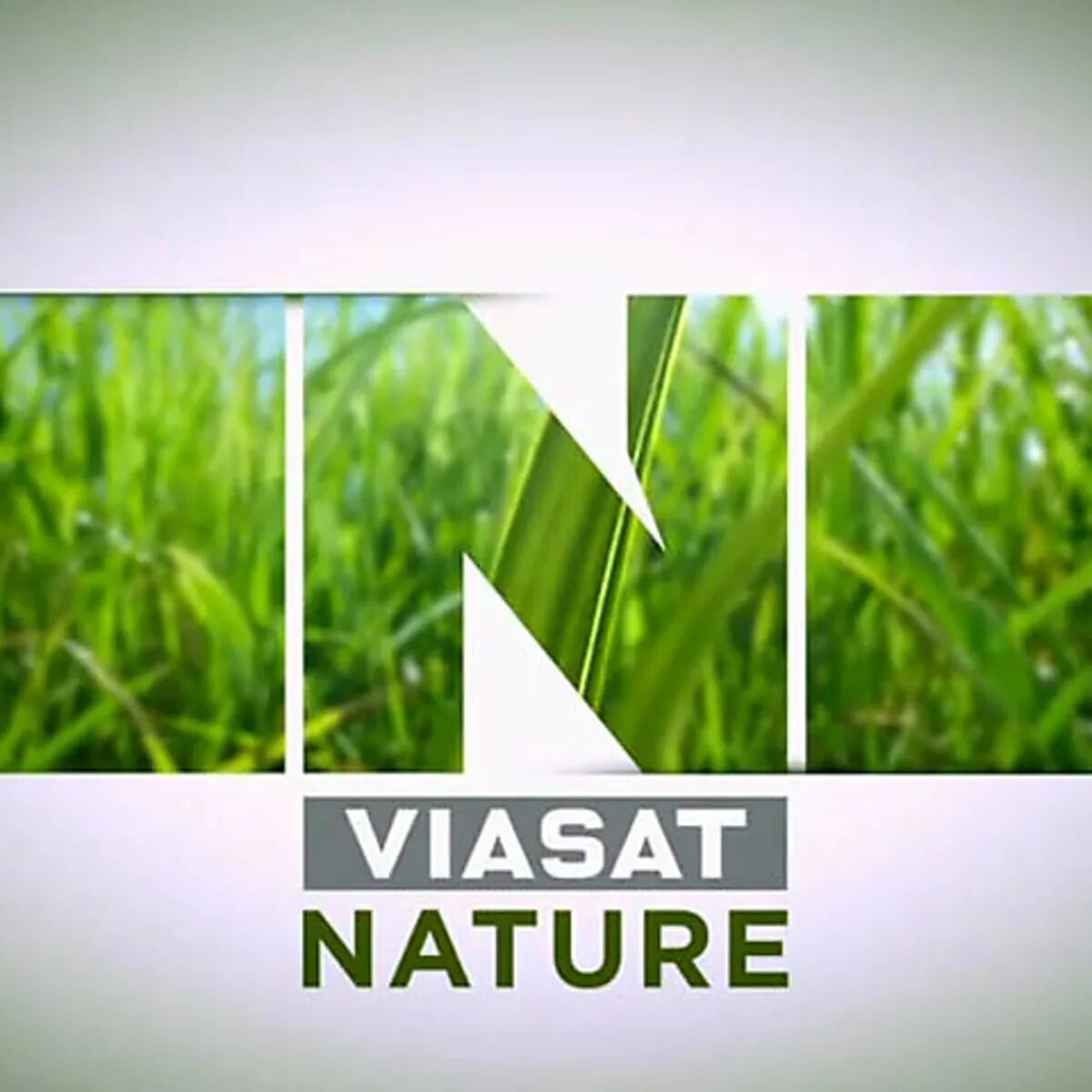 Natural channels. Natural cure. Viasat nature. Nature kpop. Natural channels.