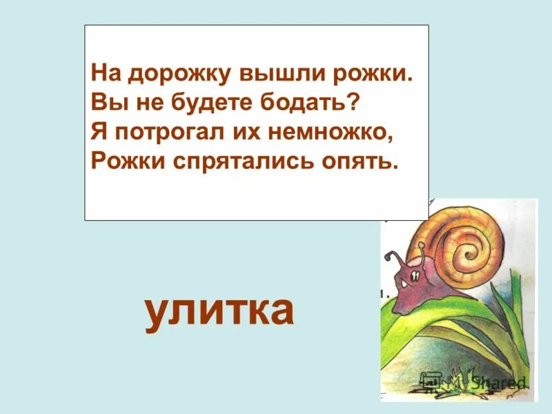 Улитка презентация