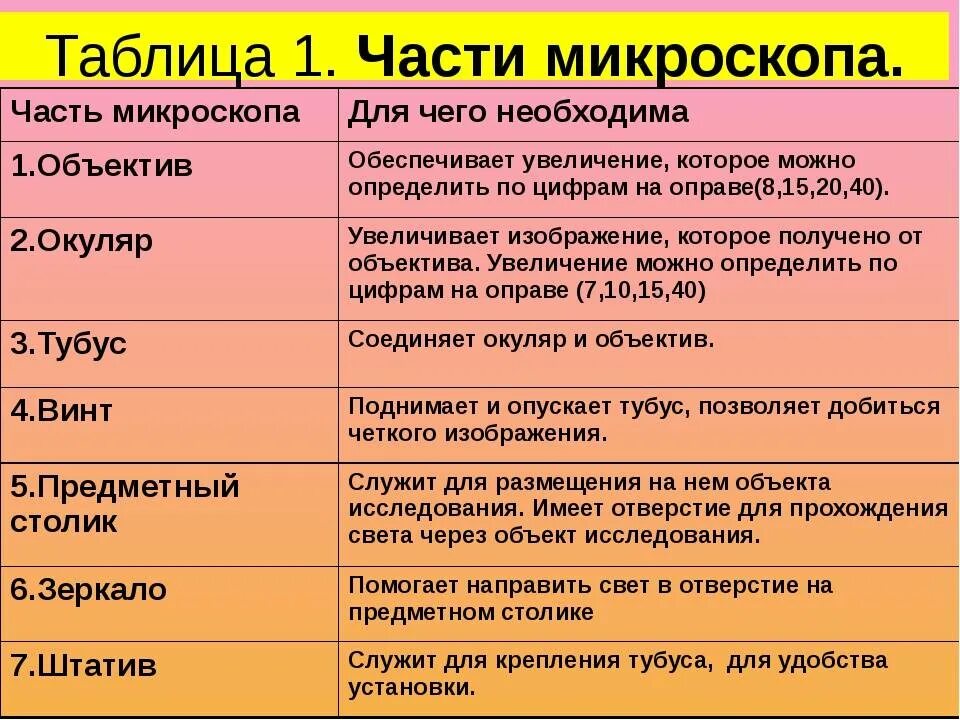 Строение микроскопа и функции его частей. Микроскоп 5 класс биология строение и функции. Строение микроскопа 5 класс биология и их функции. Микроскоп части микроскопа 5 класс. Части микроскопа 5 класс биология таблица.