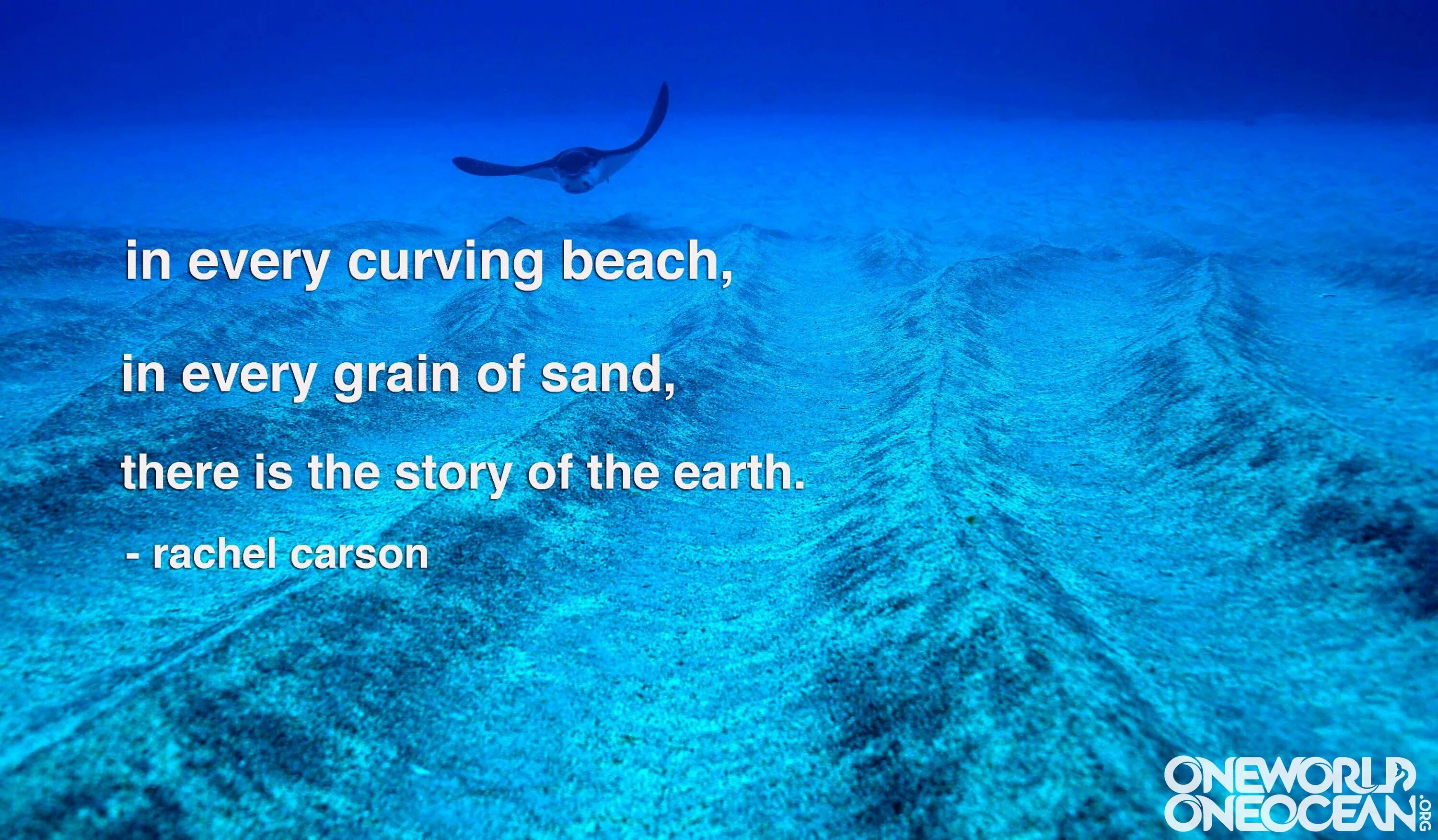 Загадка про океан. Высказывания про океан. Фразы про океан. Цитаты про океан. Крылатые выражения про океан.