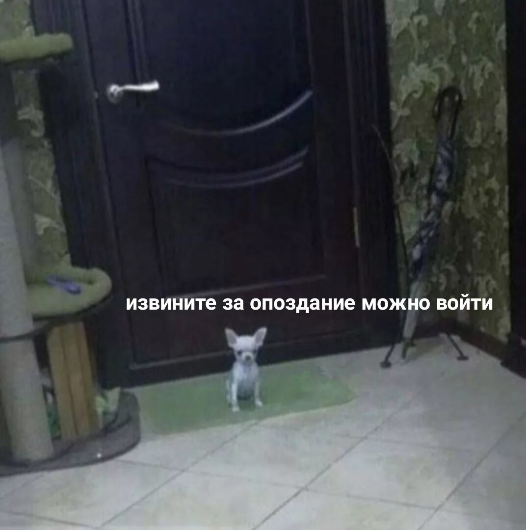 Извините за опоздание на английском можно войти на английском. Извините за опоздание можно войти. Извинение за опоздание. Извините за опоздание привет песня. Извините за опоздание привет песня.