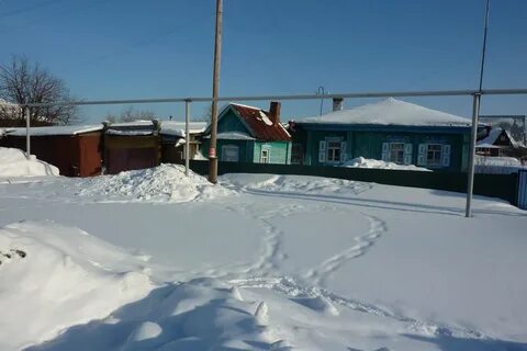 Сокур новосибирск