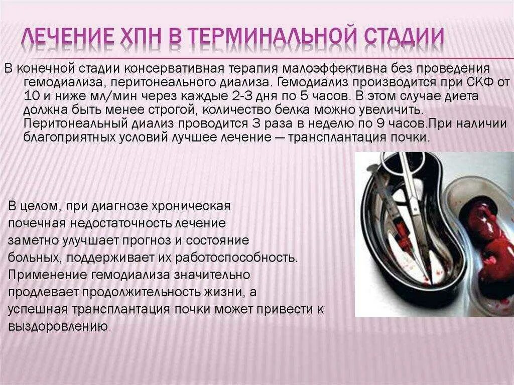 Симптомы отказа почек у собаки. Почечная недостаточность у собак прогноз. Почечная недостаточность у собак прогноз. Почечная недостаточность у собак симптомы. Почечная недостаточность у собак прогноз.