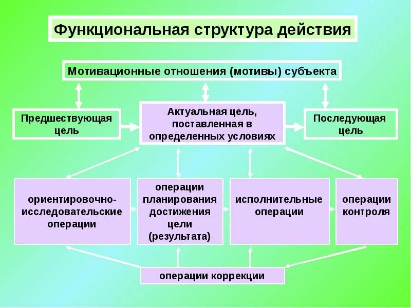 Субъект побуждения. Антиредукционизм. Антиредукционизм в философии это. Примеры редукционизма в биологии. Антиредукционизм примеры.