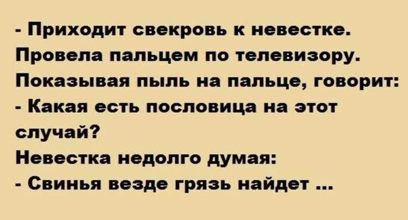 Анекдоты про свекровь и невестку. Пословицы про свекровь и сноху. Анекдоты про свекровь и невестку смешные. Анекдот про свекровь свинья везде грязь найдет.