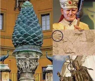 Шишков желез