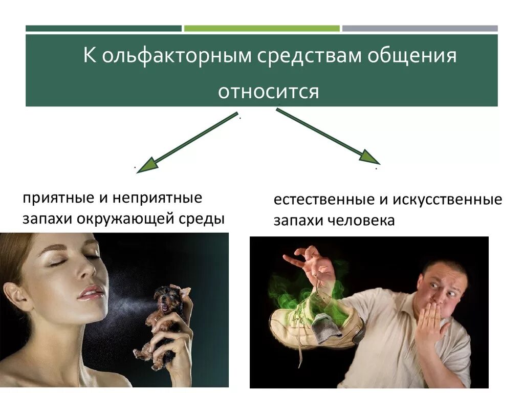 Неприятный контакт. Ольфакторные невербальные средства общения. К ольфакторным средствам общения относятся. Ольфакторная невербальная коммуникация. Запахи в невербальной коммуникации.