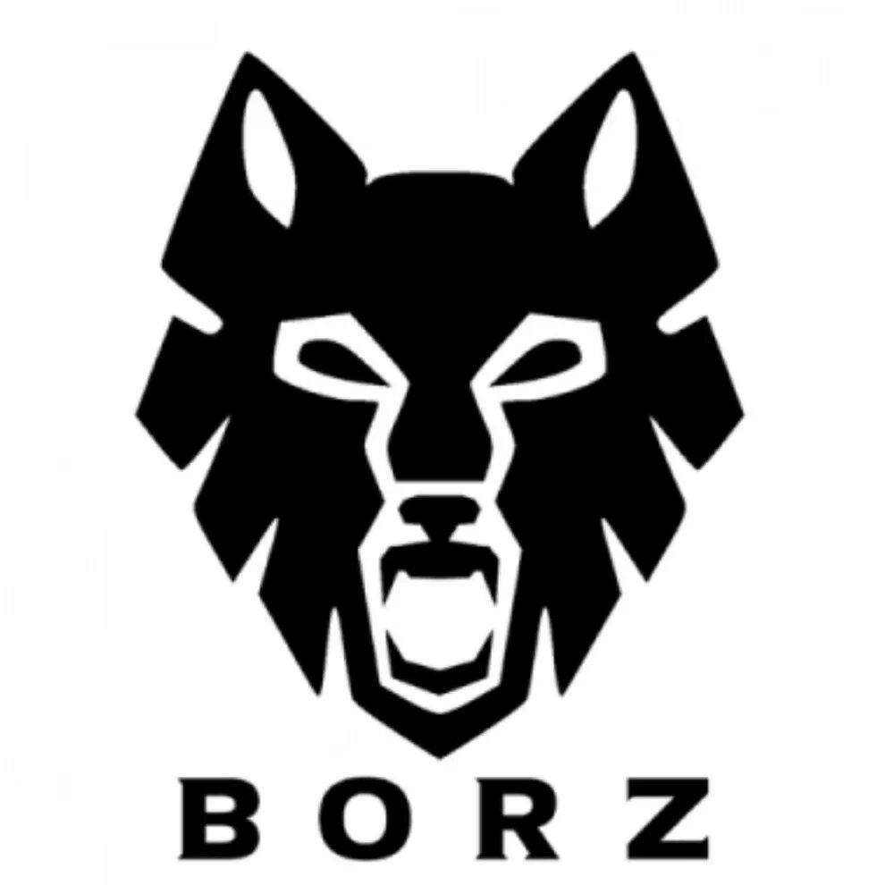 Борз ю. Логотип борз. борз одежда логотип. надпись borz. наклейка борз.