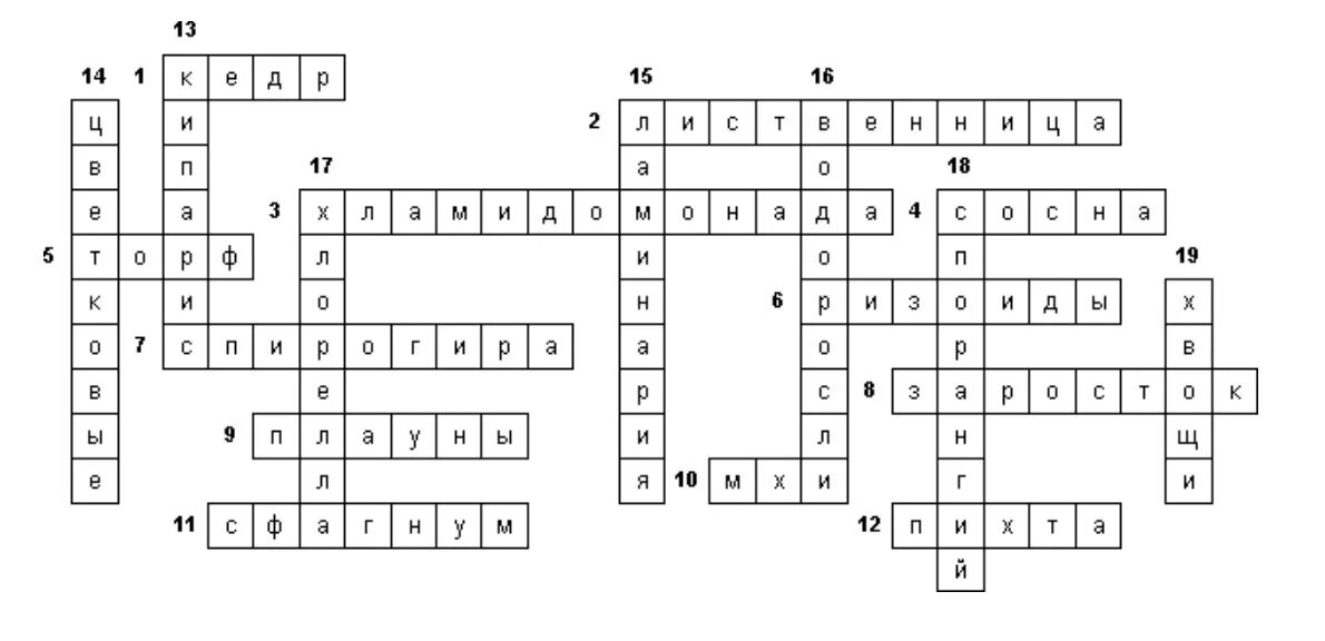 Кроссворд биология мир растений. Кроссворд на тему растения. Кросвордпо биологии на тему растения. Кроссворд растительный мир.