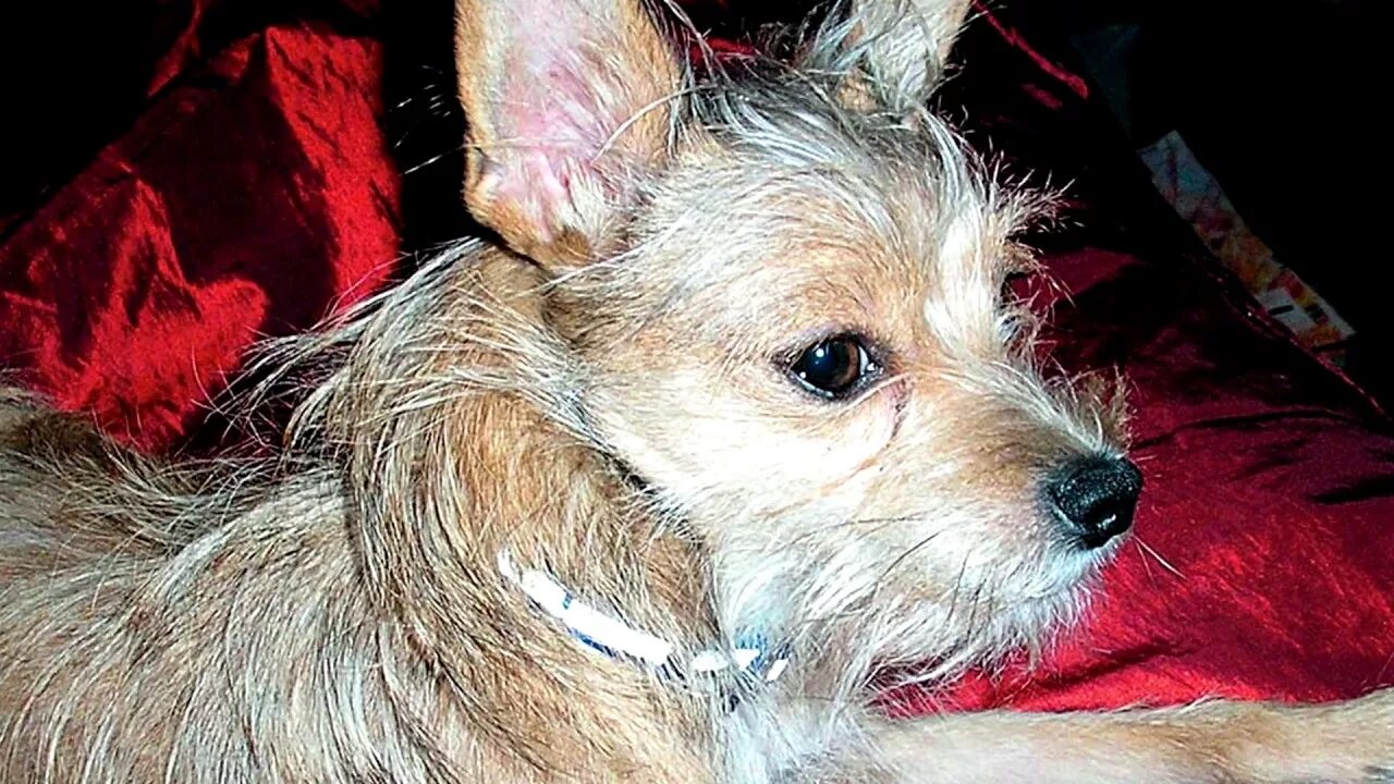 Накипело. Покуда живы лохи в нашей огромной стране, да и в других странах тоже, 