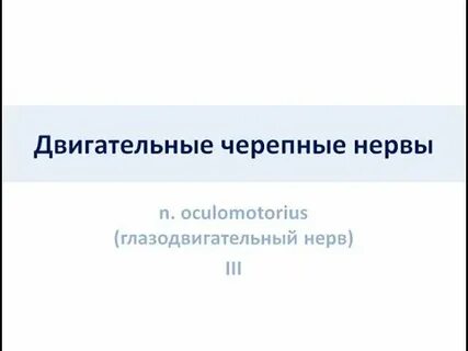 Глазодвигательные черепные нервы