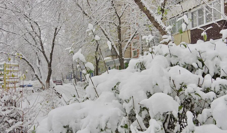 Снегопад стихия. Метель в городе. Москву завалило снегом. 12. Марковски снегопад.