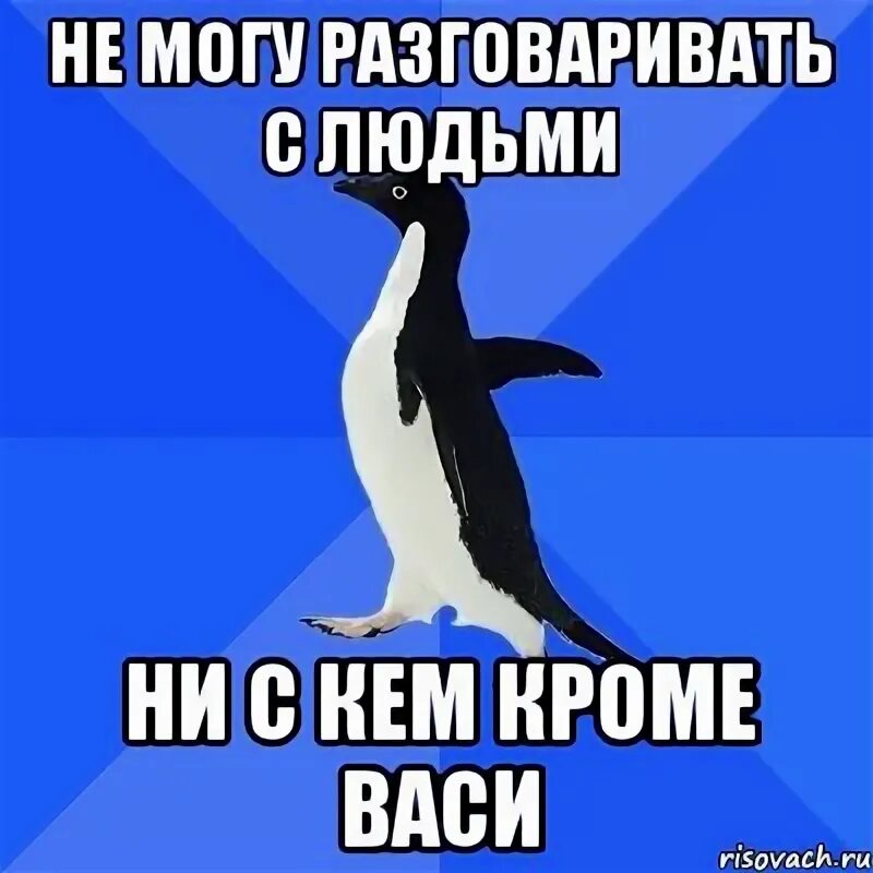 Не могу разговаривать. Мем социально неуклюжий Пингвин. Удастся поговорить. Ни с кем не разговаривать.