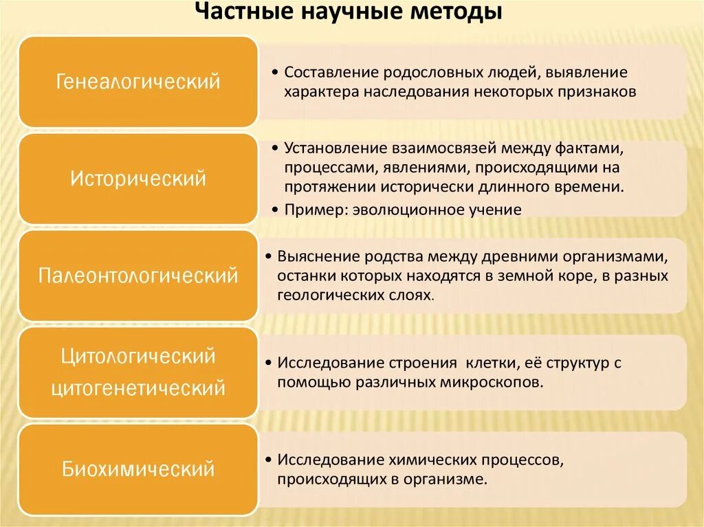 Методы исследований используемые в биологии. Частнонаучный метод биологических исследований. виды биологических методов исследования. частные методы изучения биологии. методы научного познания биология егэ.