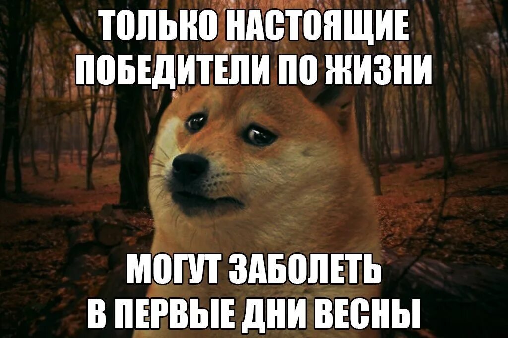 Заболела картинки. Заболеть весной. Заболела картинки прикольные. Надпись заболела. Заболела минус