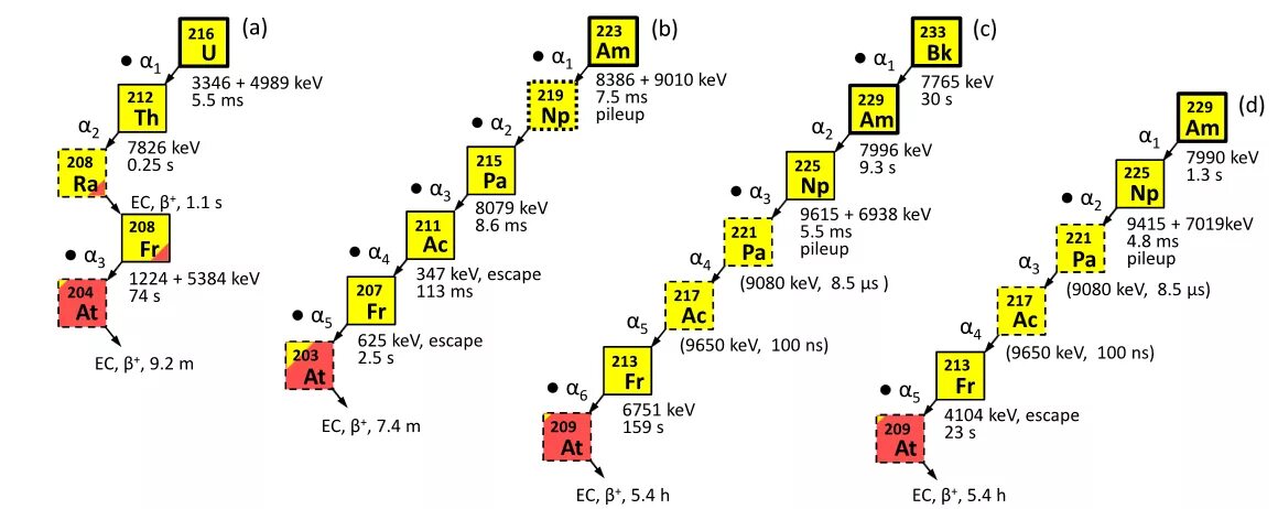 радиоактивный распад нептуния
