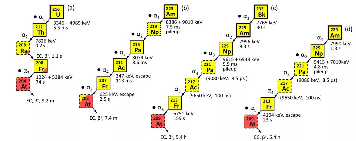 Схема распада америция 241. Распад кюрия. Цепочка распада америция. Изотопы америция.