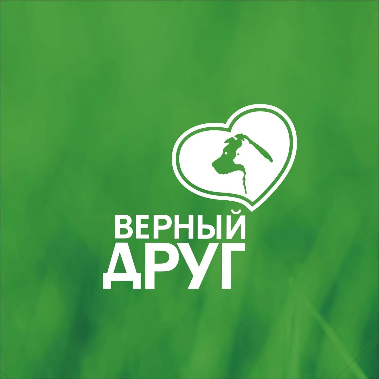 Верный или нет сторе. Верный друг логотип. эмблема верные друзья. логотип верный сеть магазинов. верный друг logo 022.