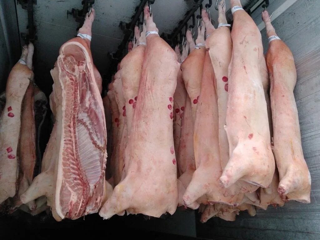 Сколько стоит 5 кг мяса. Свинина охлажденная полутуши. Полутуши свиные охлажденные. Свинина на кости полутуши.