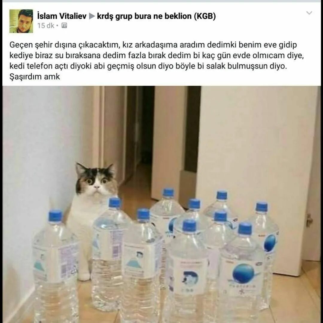 Уехал оставил сына. Сынок будешь уезжать оставь коту побольше воды. Оставил коту воды. Оставь коту побольше воды. Попросила оставить коту воды.