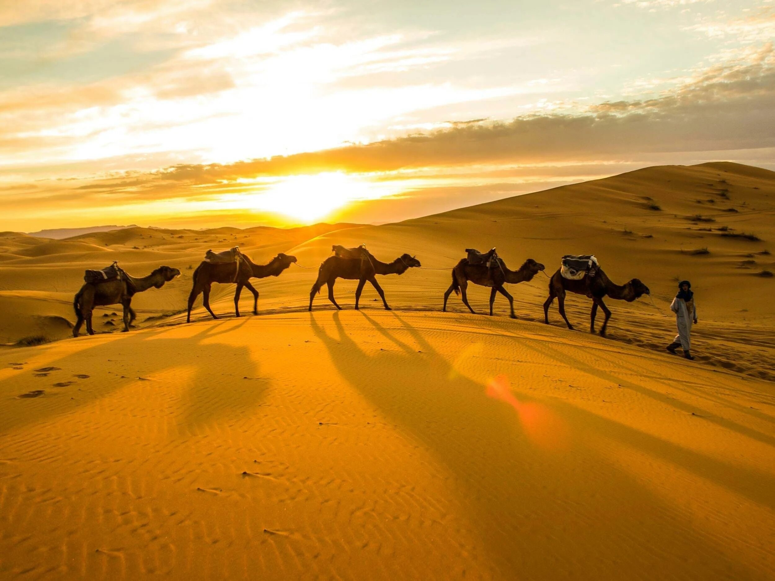 Караван Верблюды Барханы. Караван с верблюдами в пустыне. Верблюд в пустыне. Караван верблюдов.