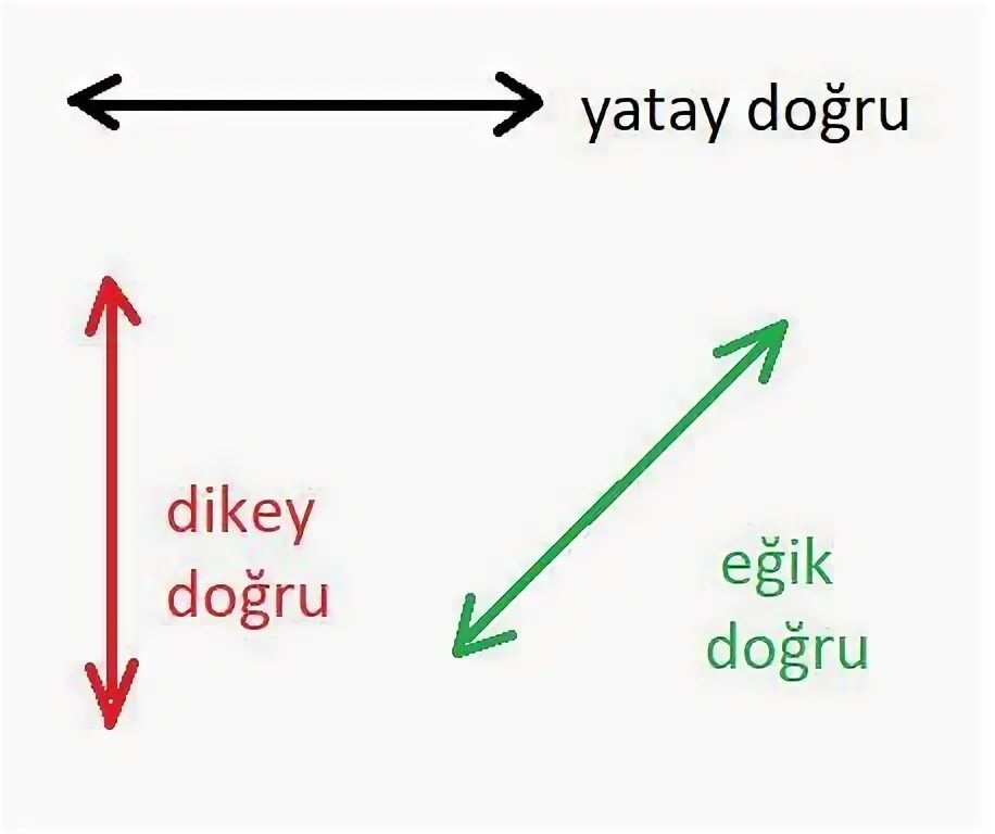 Dikni professional tarzda soradi