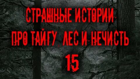 Страшные истории про тайгу слушать
