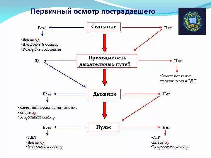 Осмотр включает в себя следующие этапы. Алгоритм первичного и вторичного осмотра пострадавшего. Алгоритм первичного осмотра пострадавшего. Алгоритм диагностики состояния пострадавшего. Составьте алгоритм диагностики состояния пострадавшего.