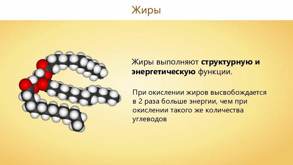 Какие белки выполняют энергетическую функцию. Структурная функция жиров. белки и жиры выполняют структурную функцию. жиры выполняют. регуляторная функция жиров.