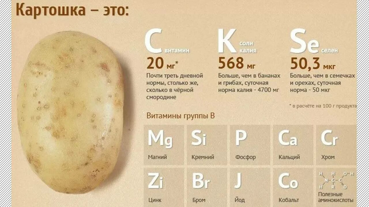 Картофель отварной кбжу